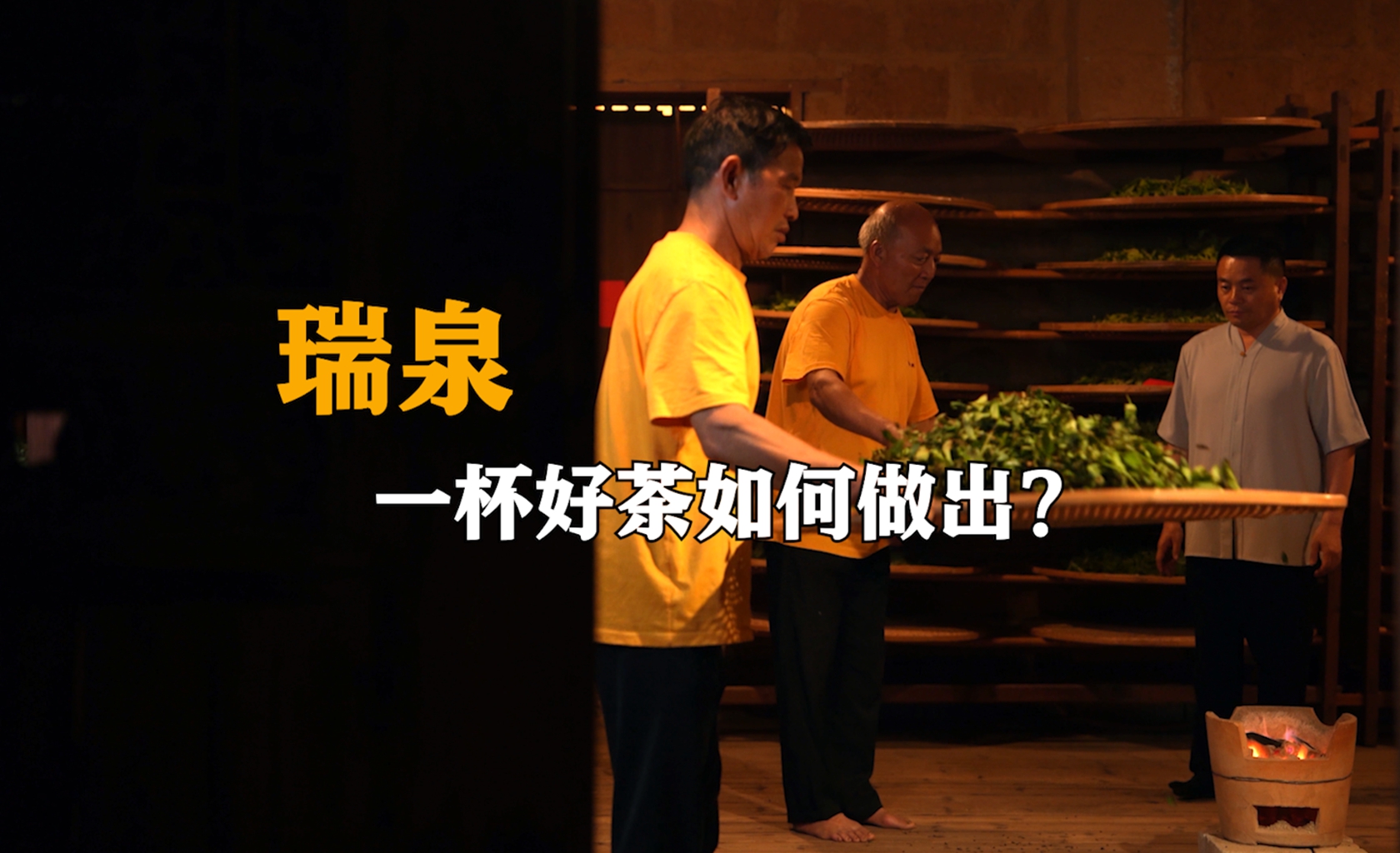 瑞泉：一杯好茶如何做出？