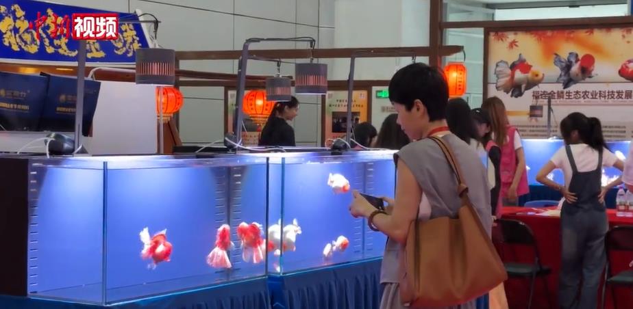 中国（福州）国际渔业博览会启幕 境内外客商联手打造“海鲜盛宴”