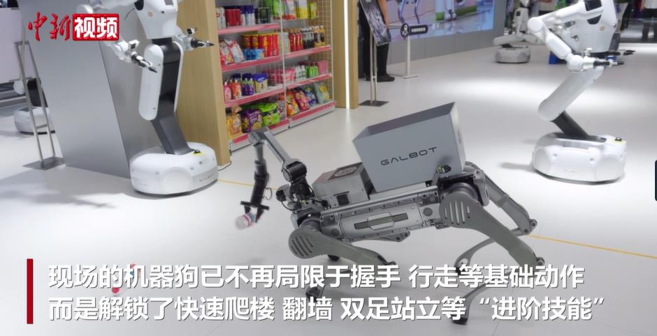 爬楼、翻墙、双足行走 未来机器狗或可骑行